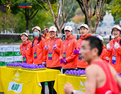 2025南京马拉松报名创历史纪录！共24.05万人报名，全马项目报名人数达19.48万